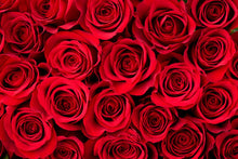 Load image into Gallery viewer, Rose for Healing the Heart